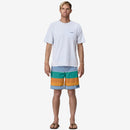 Wavefarer Boardshorts - 19 in.