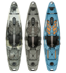 RVR119