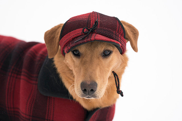 Critter Kromer