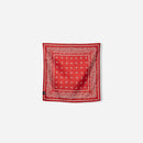 Paisley Bandana Towel