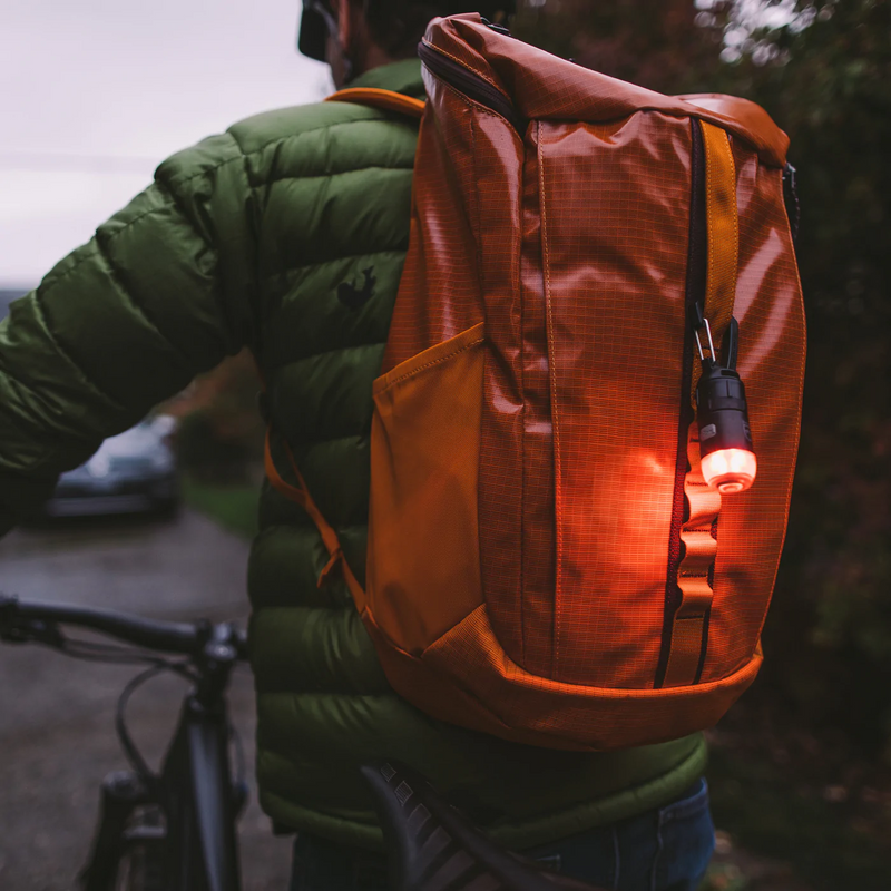 Carabiner Light Kit