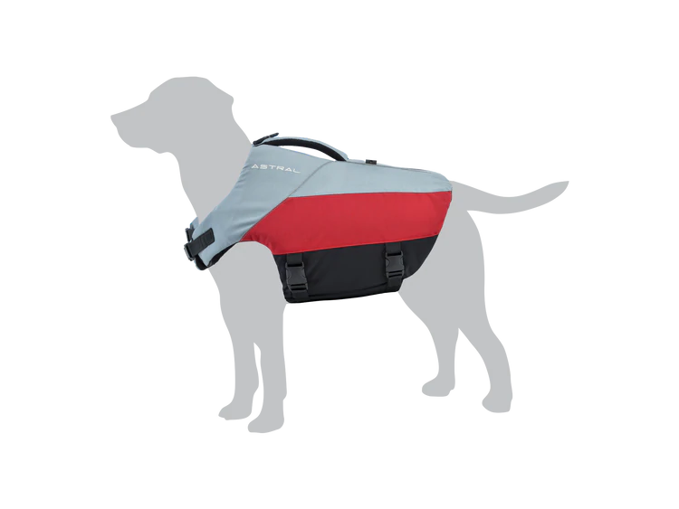 BirdDog