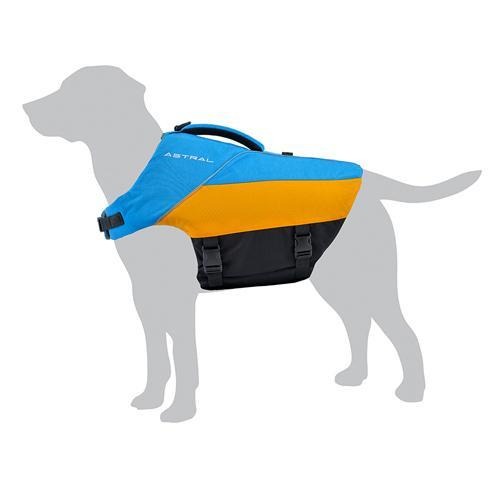 BirdDog
