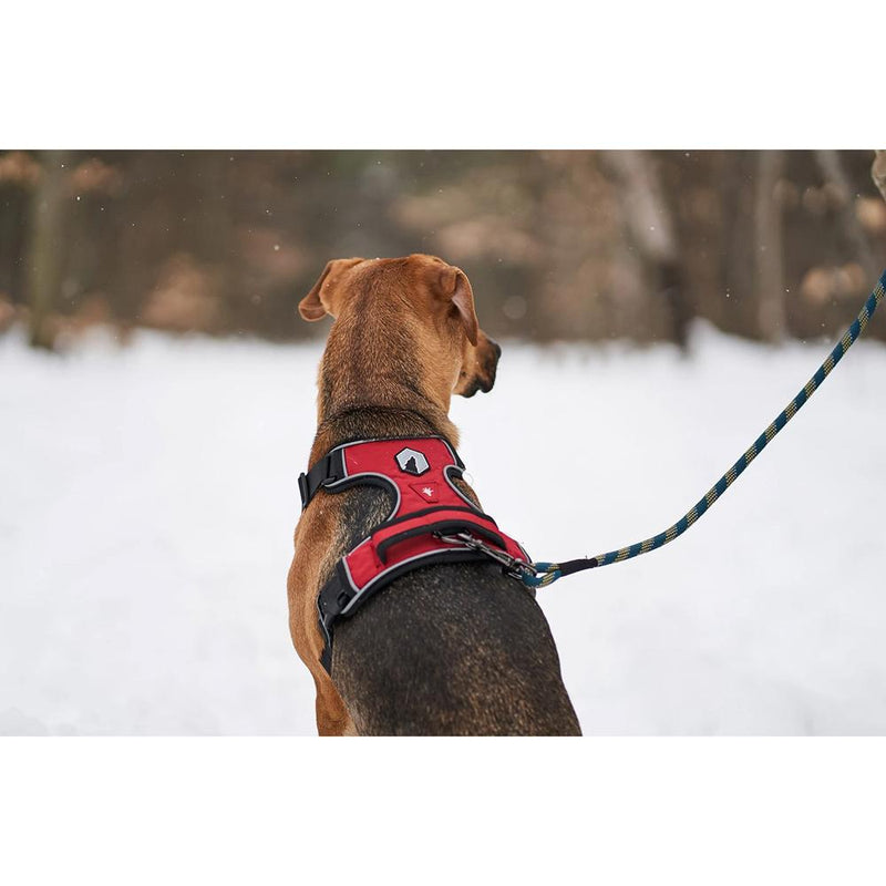 Mesa Harness 
