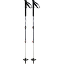 DynaLock Explore Backcountry Poles