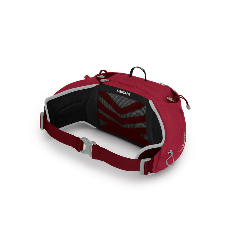 Talon 6