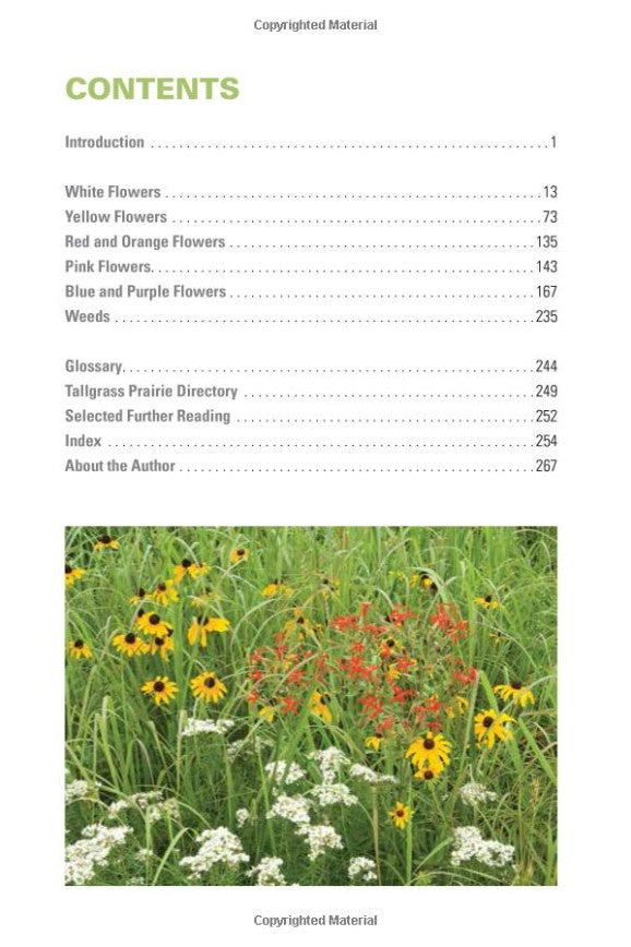 Prairie Wildflowers | A Guide to Flowering Plants from the Midwest to the Great Plains