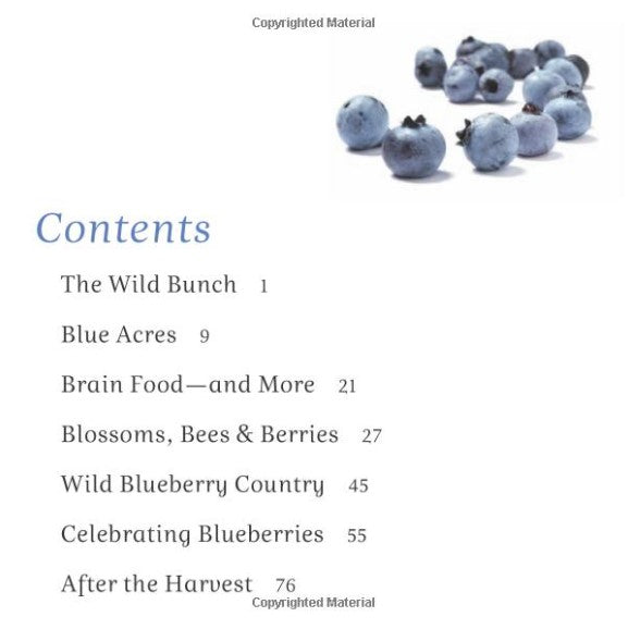 The Wild Blueberry Book