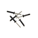 Rivets, Dome-Head Tri-Fold 13/16"